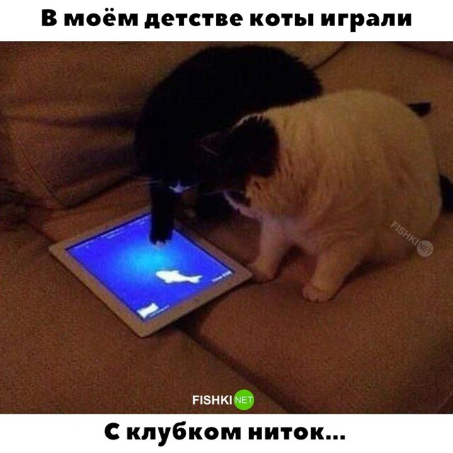 О времена, о нравы 