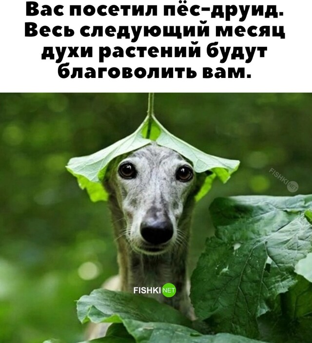 Скрины из соцсетей            