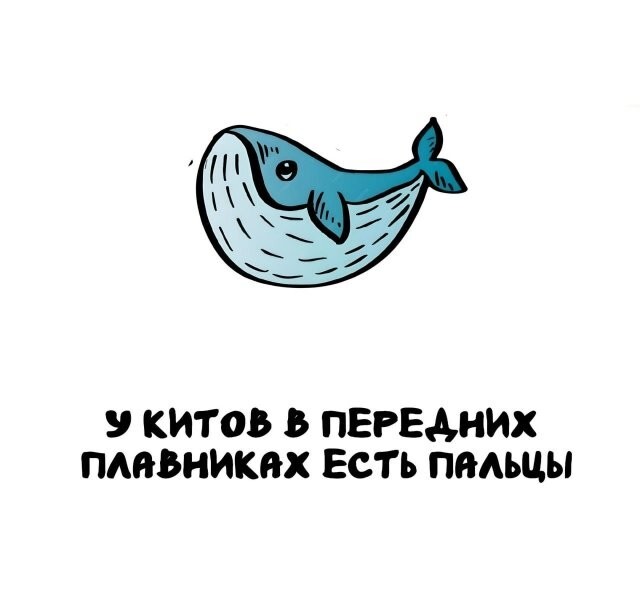 А вдруг ты не знал…