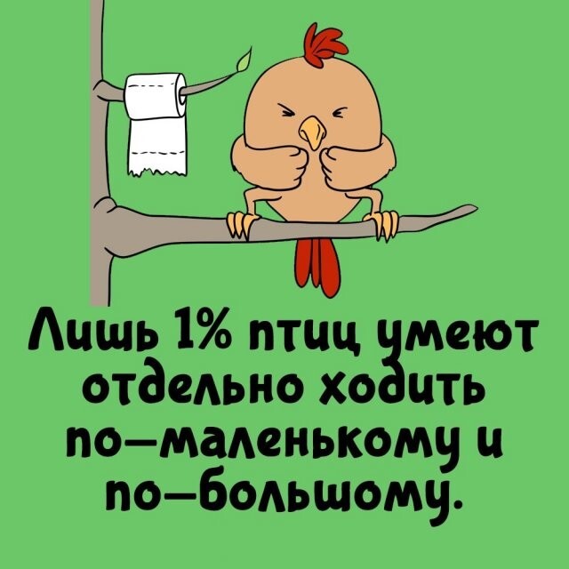 А вдруг ты не знал…