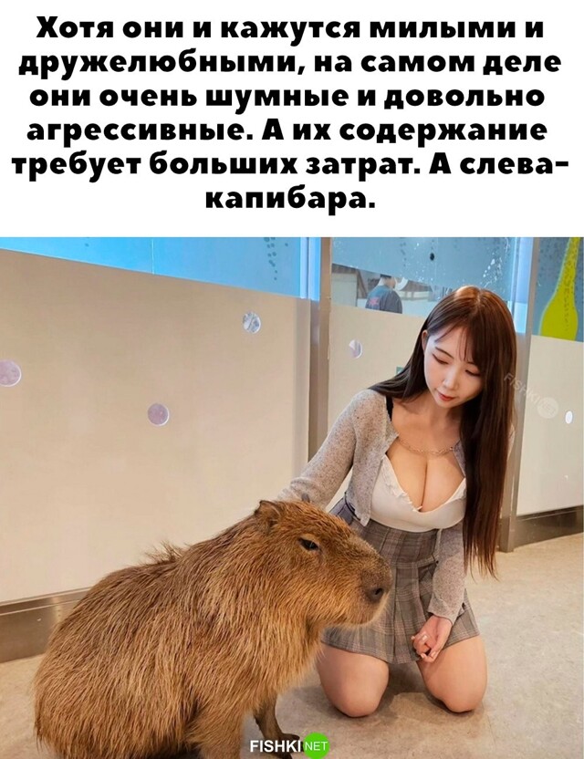 Скрины из соцсетей            