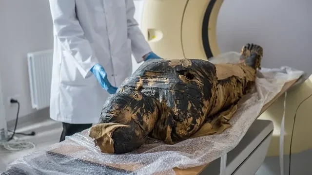 "Результаты шокировали": раскрыт секрет самой необычной египетской мумии