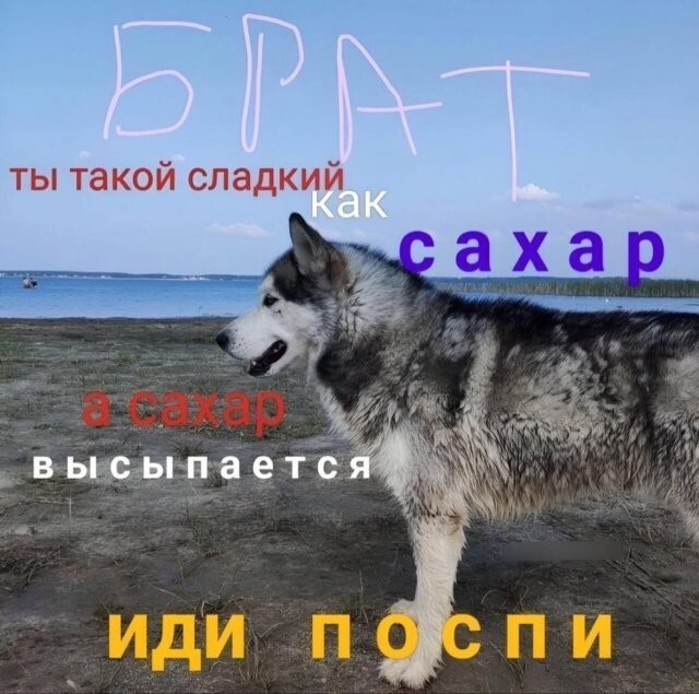  Намешалось 