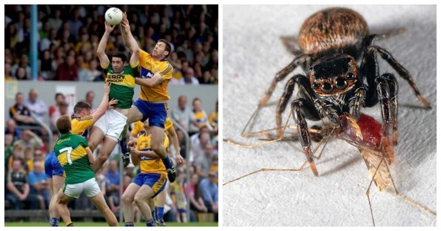 10 интересных фактов из разных областей знаний, которые помогут расширить кругозор