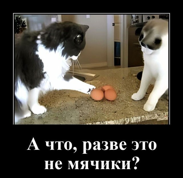 Демотиваторов порция: «Когда достиг совершенства»