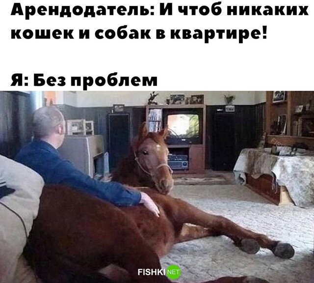 Скрины из соцсетей            