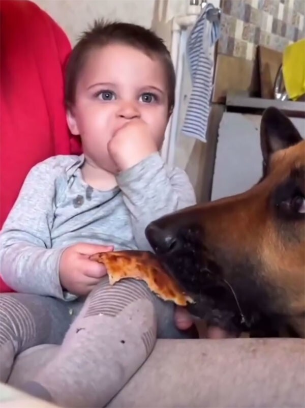 Не пойман, не вор