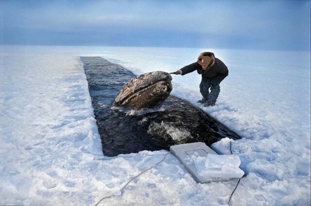Подборка фотографий из прошлого, которые заставляют удивиться