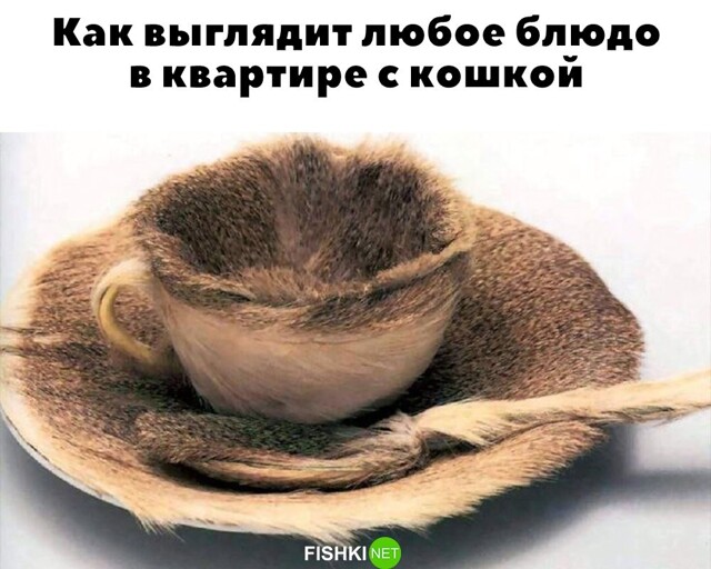 Не ищите здесь смысл. Здесь в основном маразм