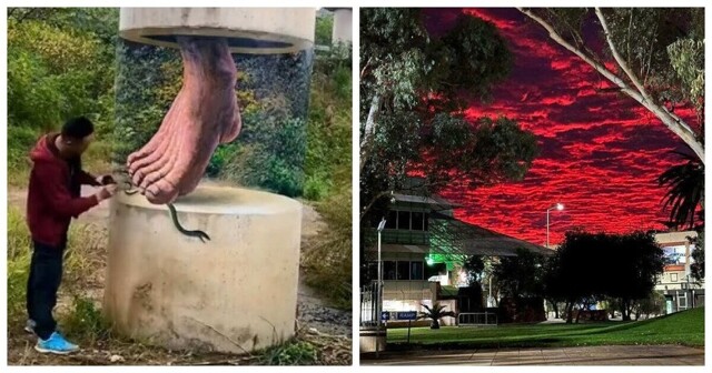 13 увлекательных изображений разных необычностей