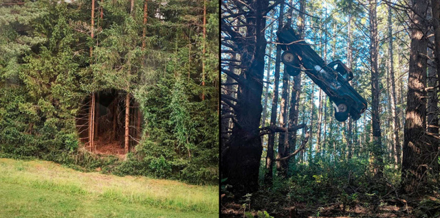 16 фотографий того, что можно обнаружить абсолютно случайно в ближайшем лесу