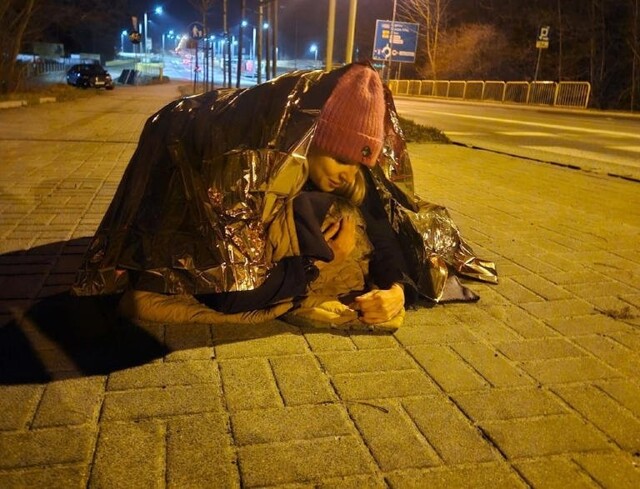 В Польше спасли сбитую на дороге косулю