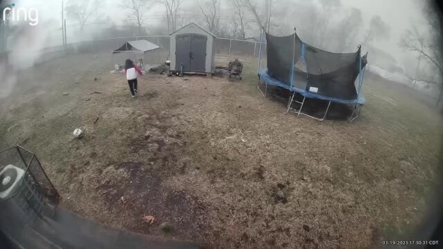 Спасли  собаку всего за минуту до прихода торнадо