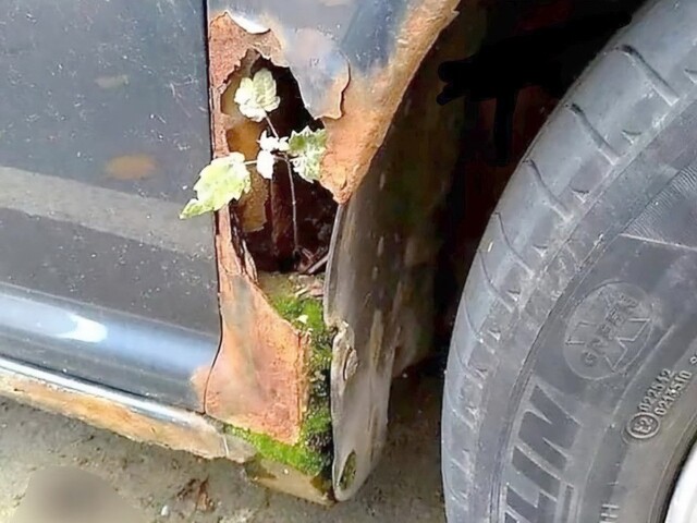 АвтоВсячина