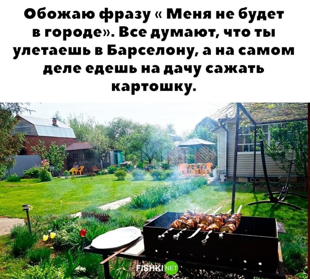 Большая тарелка позитива