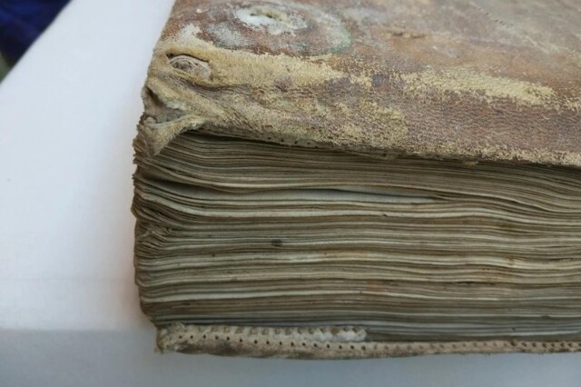 Ученые раскрыли секрет «волосатых» средневековых книг из Франции