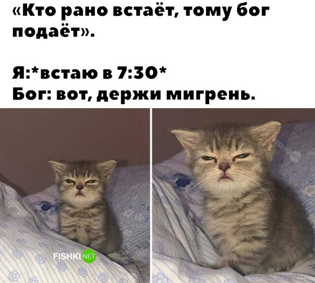 Скрины из соцсетей