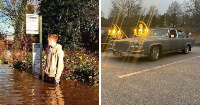 20 абсурдных фото, глядя на которые возникает только один вопрос: что здесь происходит