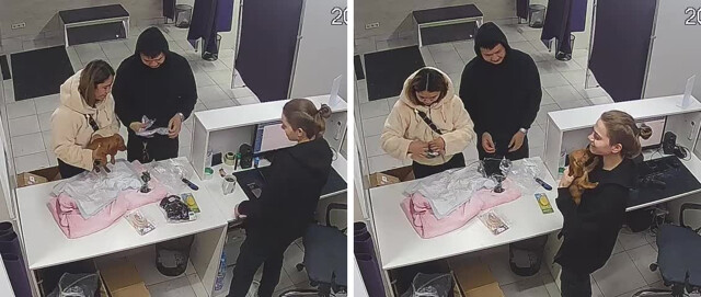 Перед таким посетителем сложно устоять