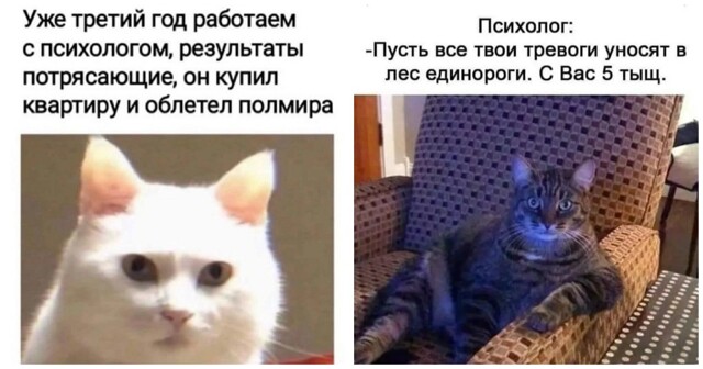 Ученые выяснили, что работает лучше любой психотерапии