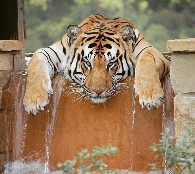 Фото суббота