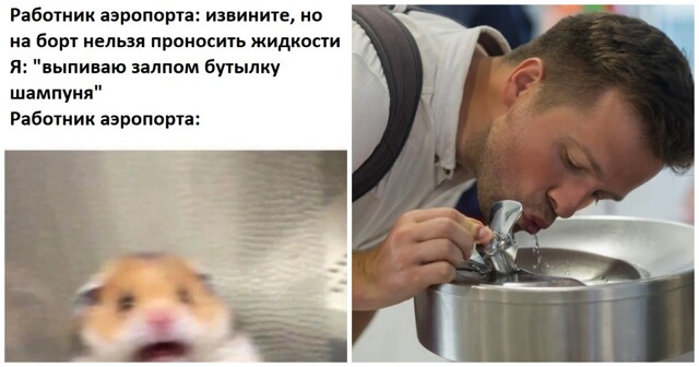 В российских аэропортах предложили установить питьевые фонтанчики