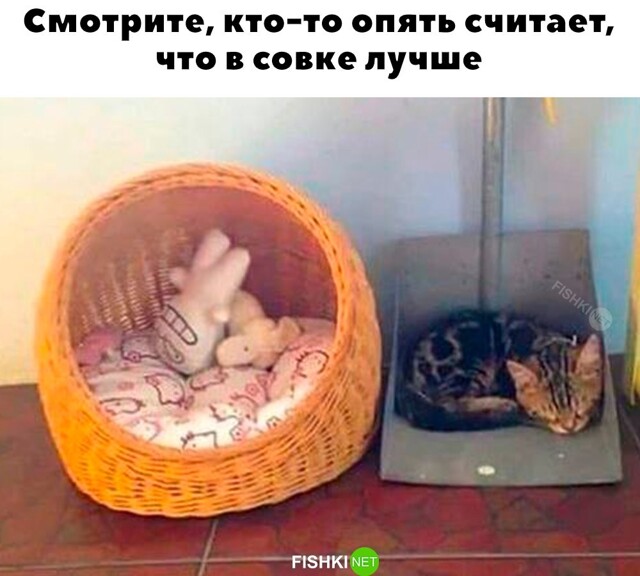 Скрины из соцсетей