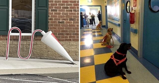 14 случаев, когда в поликлиниках было хоть и страшно, но интересно