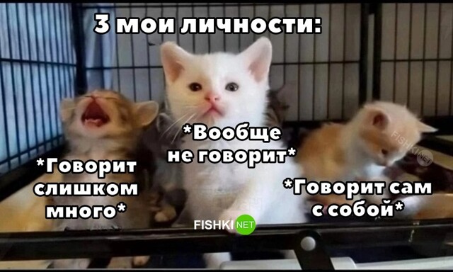Скрины из соцсетей