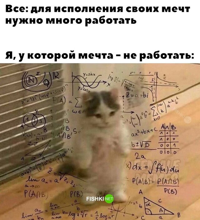 Смешные картинки