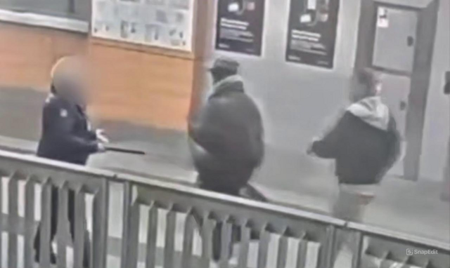 Мужчина ударил  работницу службы безопасности метро в Москве