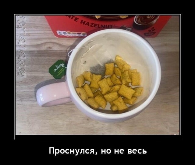 Демотиваторы для всех: «Проснулся, но не весь…» 