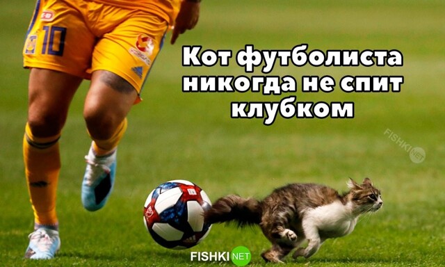 Скрины из соцсетей            