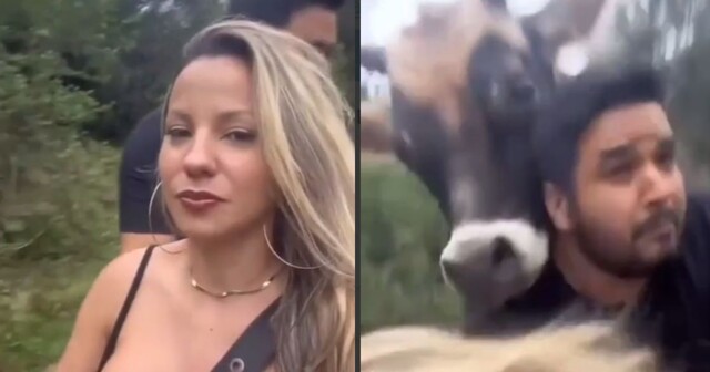 Селфи на природе