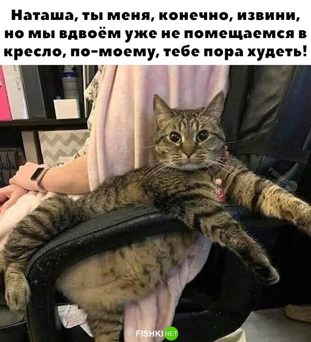 Не ищите здесь смысл. Здесь в основном маразм