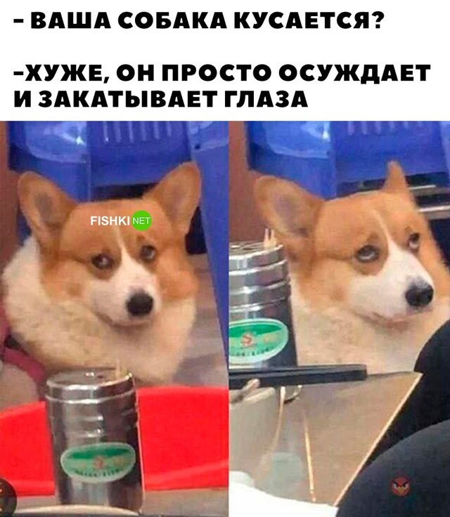 Смешные картинки