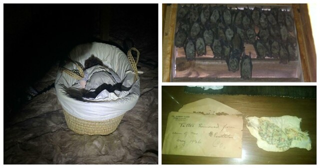 30 пугающих вещей, случайно найденных новыми жильцами