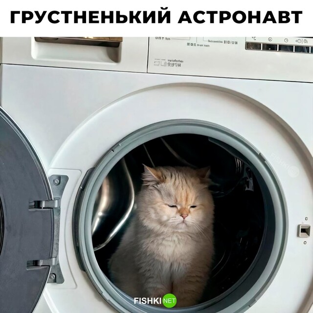 Не ищите здесь смысл. Здесь в основном маразм