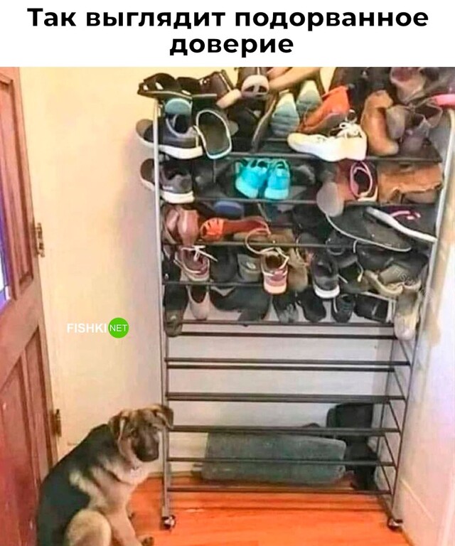 Скрины из соцсетей 