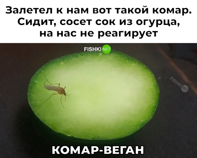 Продолжаем барражировать соцсети