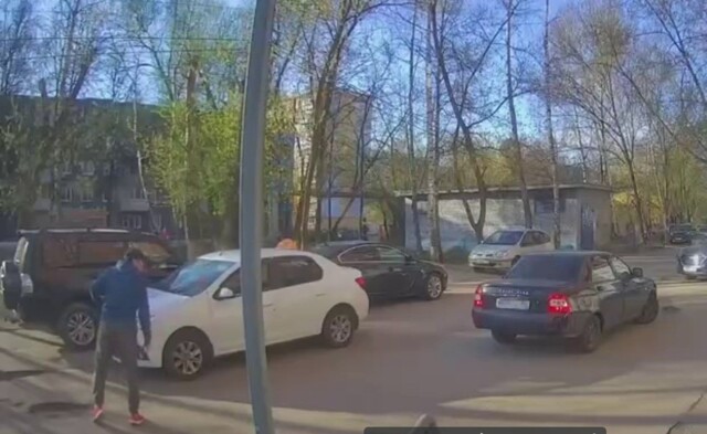 Агрессивный защитник двора