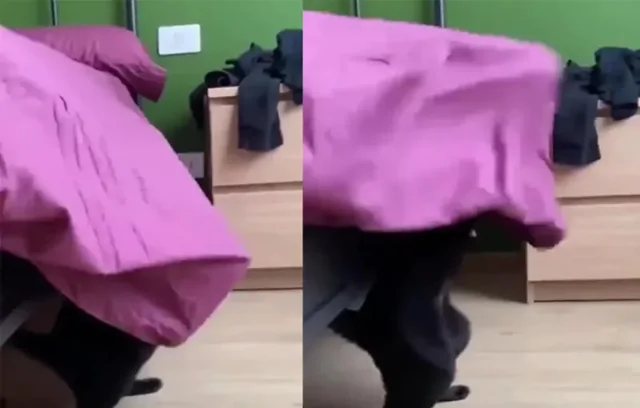 Кот запутался в простыне