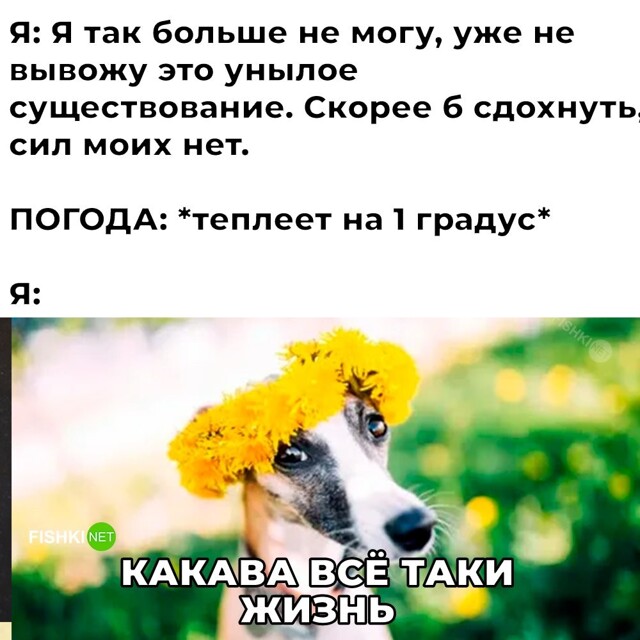 Смешные картинки