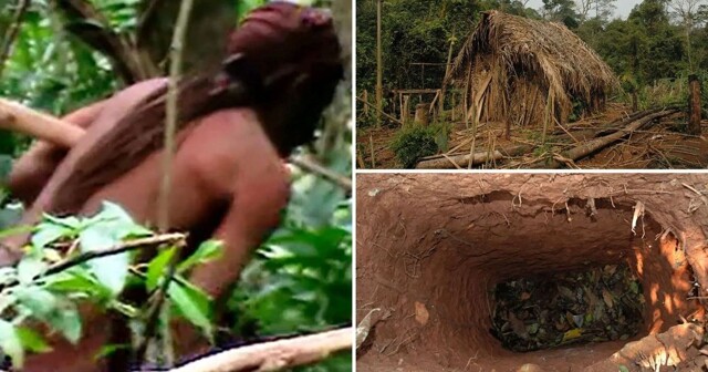 Абориген прожил 26 лет в одиночестве в тропических лесах Амазонки