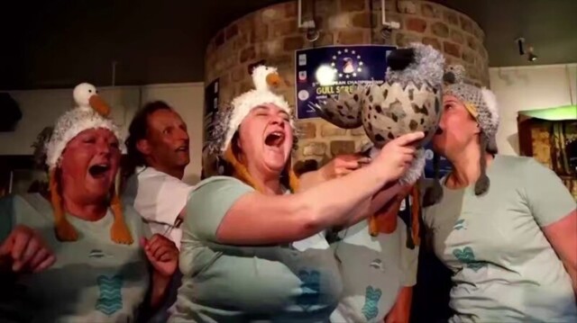 В Бельгии прошёл чемпионат по имитации крика чаек