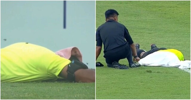 Индии во время Суперкубка рой пчёл принял судью за цветочек