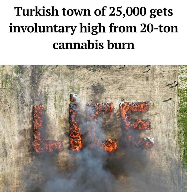 Анекдот дня: в Турции полицейские случайно накурили марихуаной 25 тысяч человек
