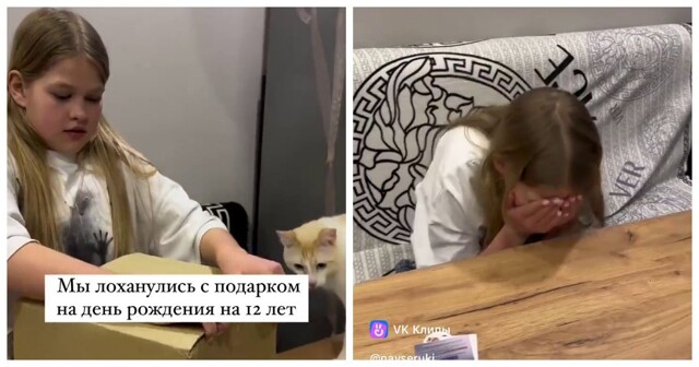 "Его ещё и собирать надо?": не угадали с подарком