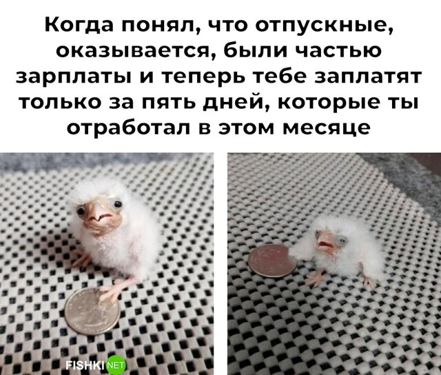 Не ищите здесь смысл. Здесь в основном маразм