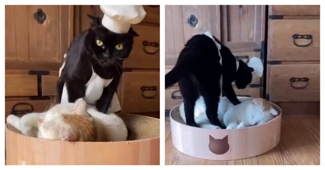 Уникальная техника замеса теста